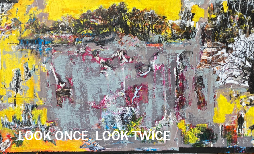 Look Once, Look Twice